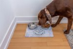 We provide bowls for your pet to enjoy their meal from.
